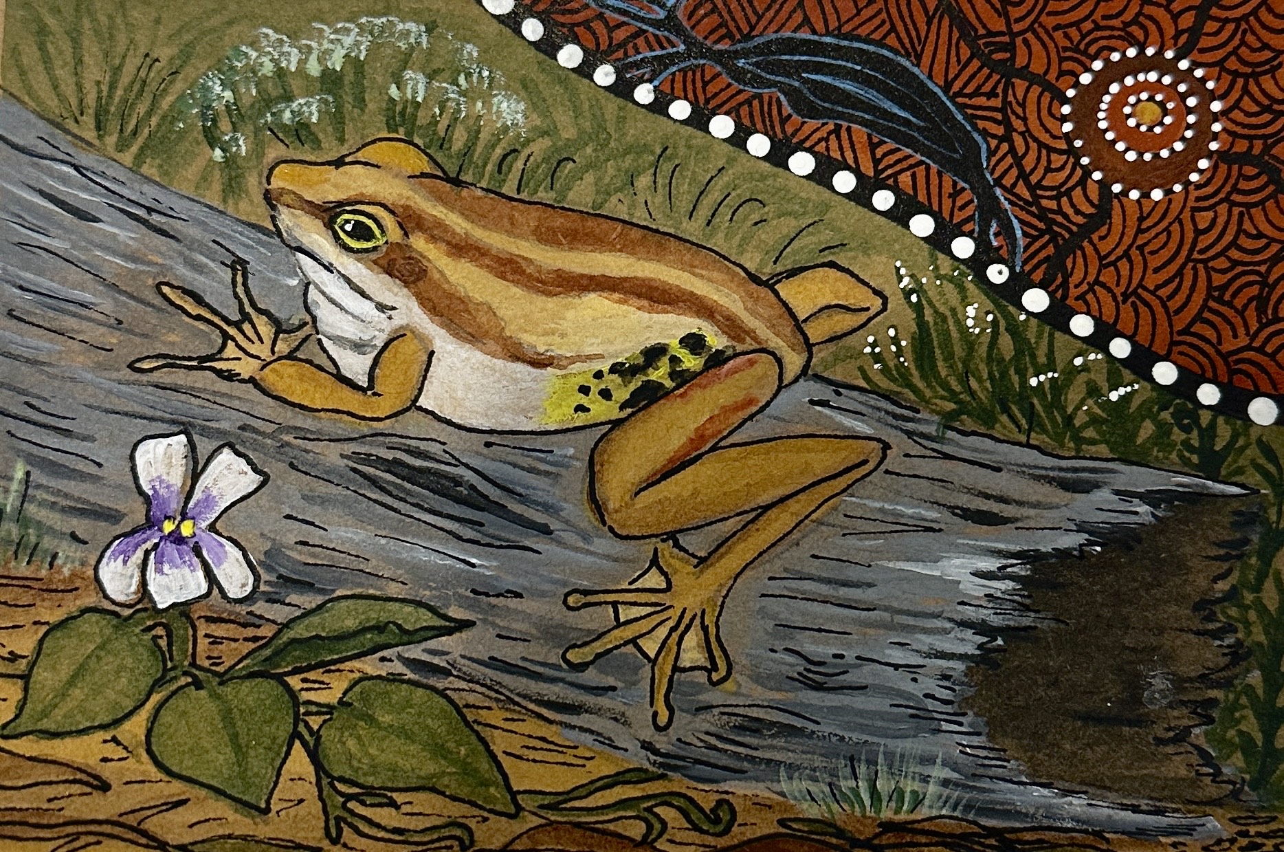 Whistling Tree Frog hand painted card 74 Whistling Tree Frog - Cards & Homewares - Bea Nambooka Edwards