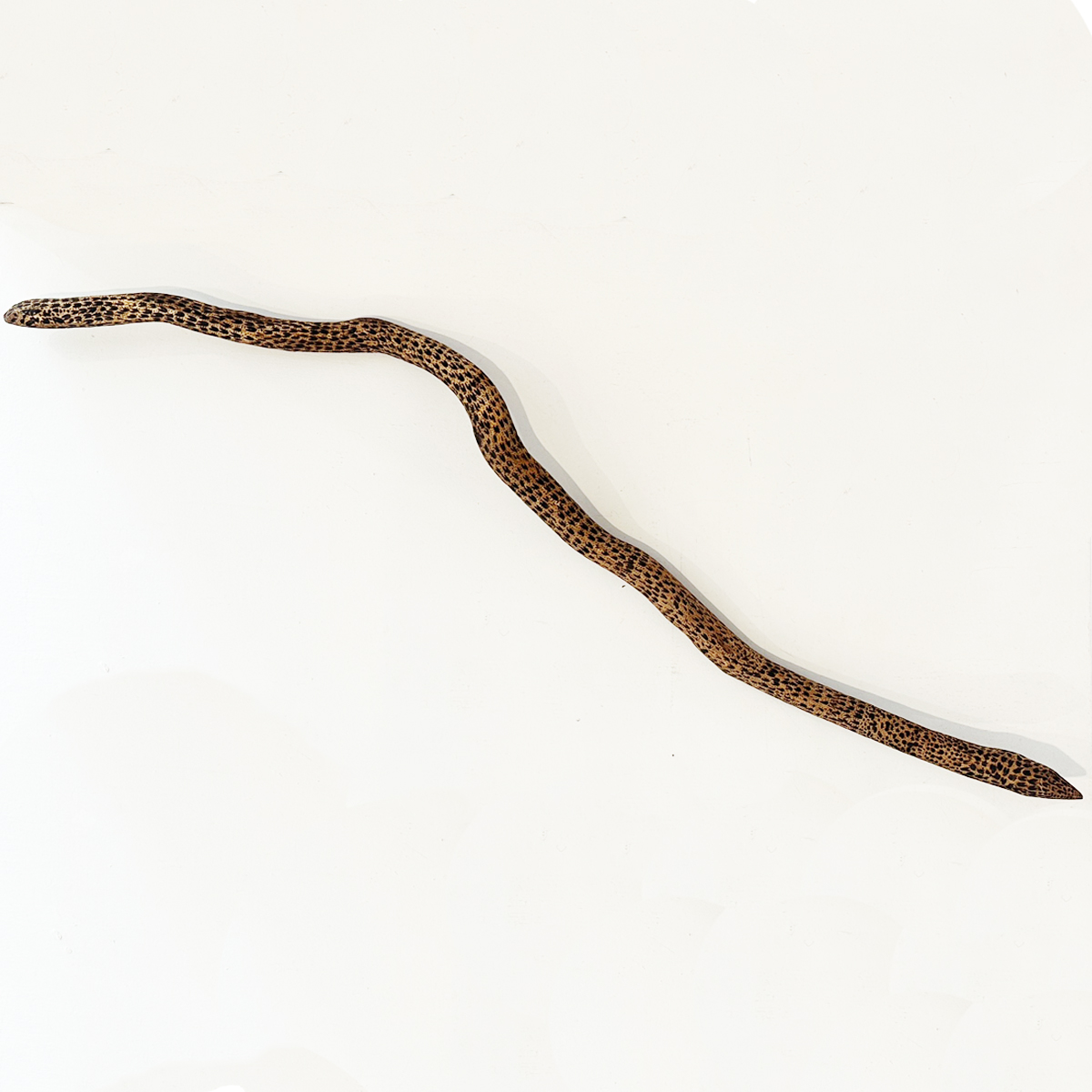 Snakes 205 Snakes - Cultural Items - Tania Banfield