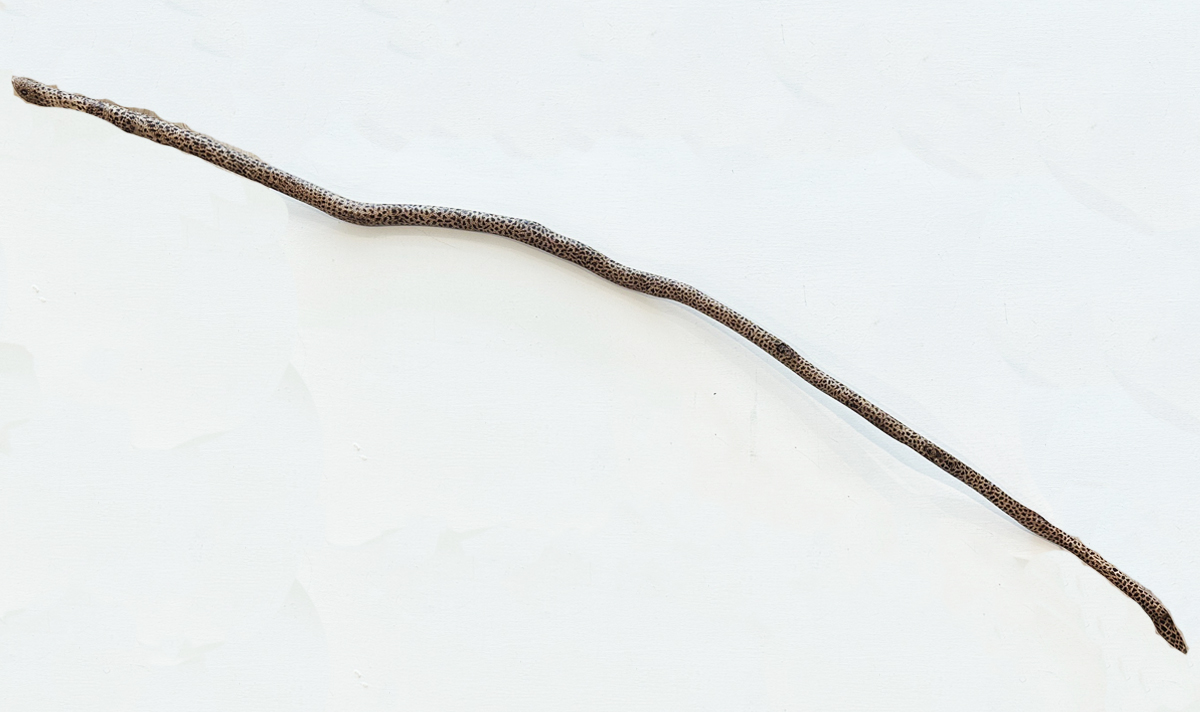 Snakes 206 Snakes - Cultural Items - Tania Banfield