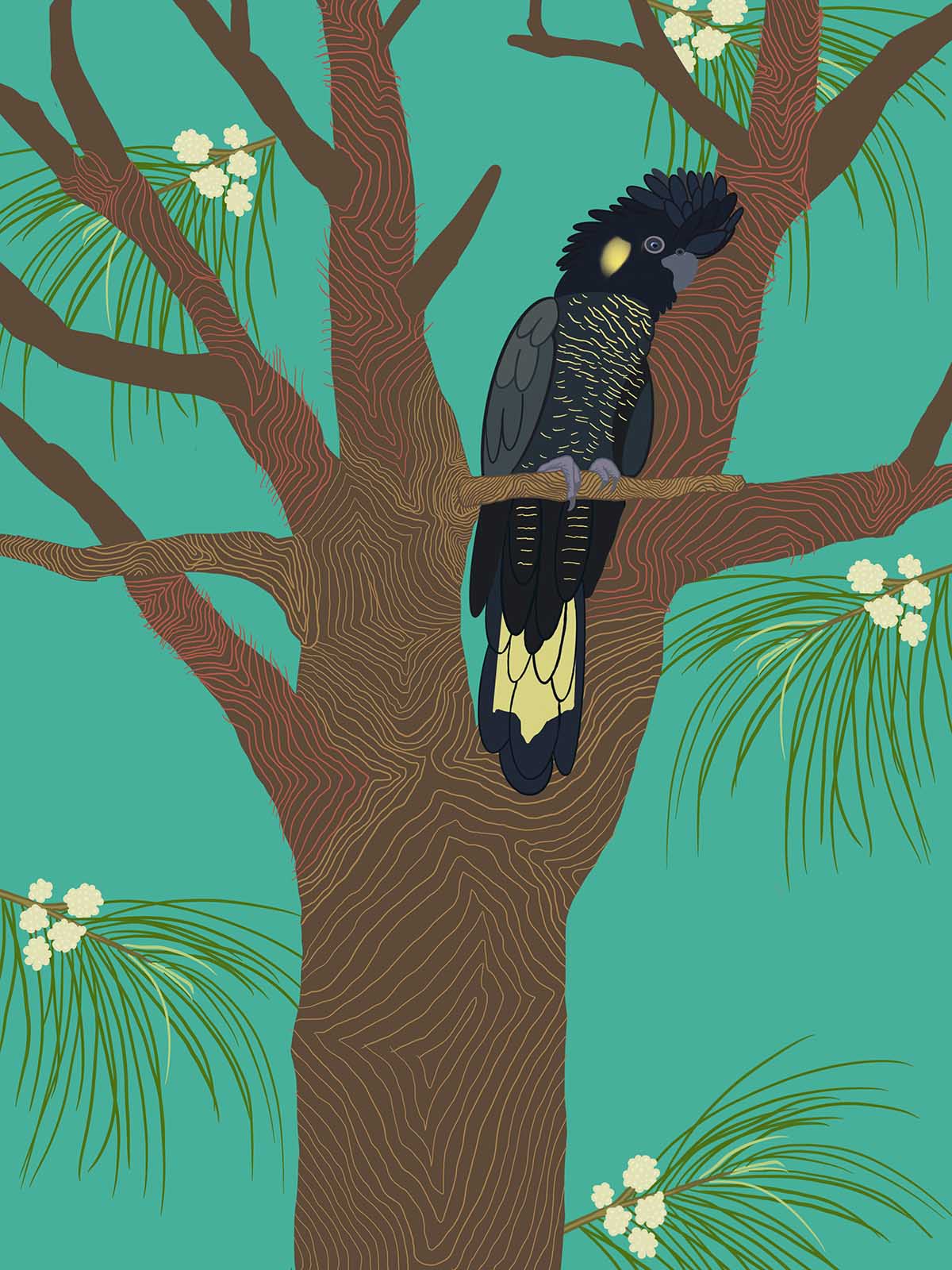 Yanggaee 196 Yanggaee - Photography & Prints - Sammy Trist