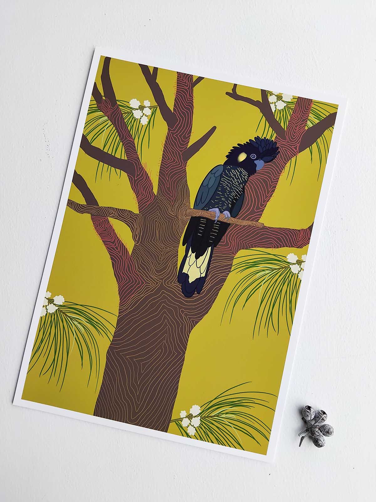 Yanggaee - Photography & Prints - Sammy Trist