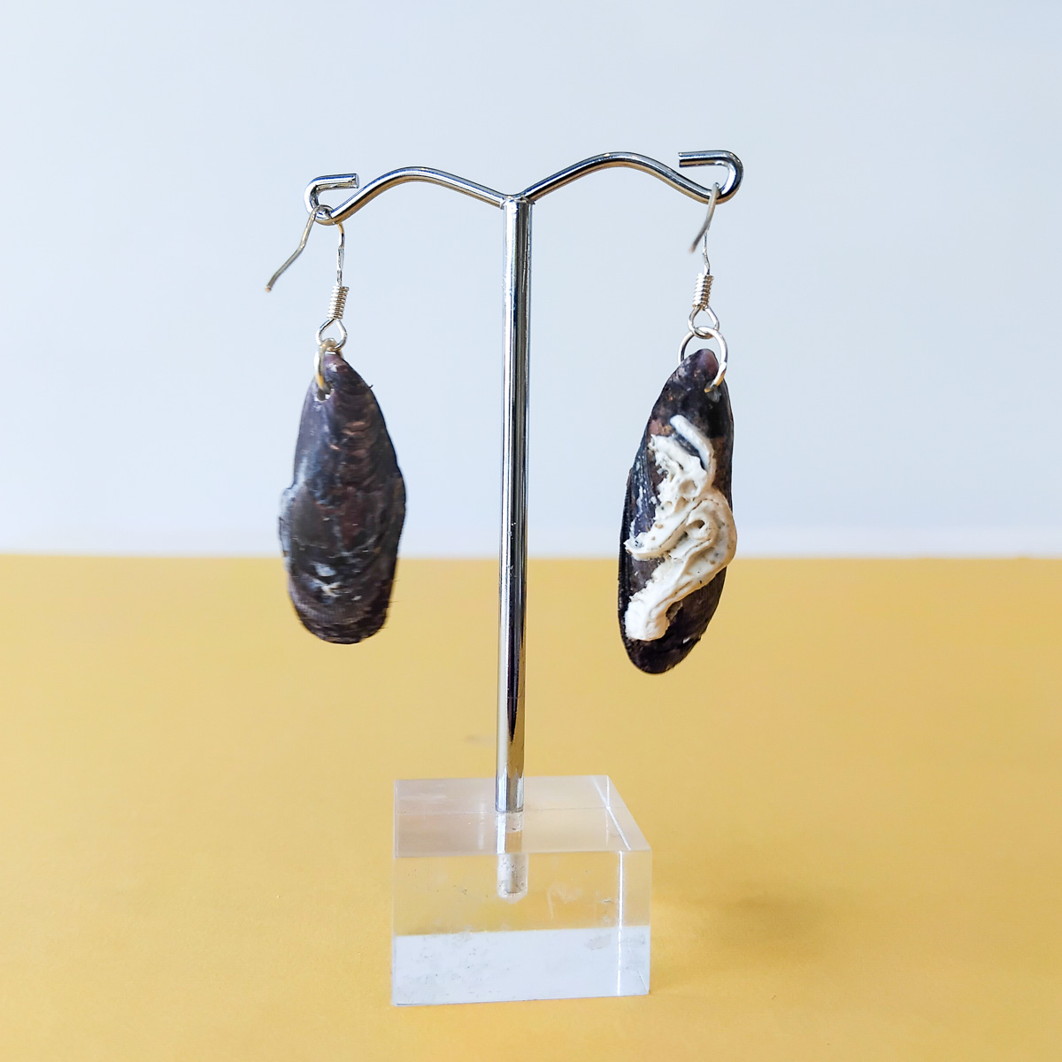 Large shell resin earrings 2 Large shell resin earrings - Hand-crafted Jewellery - Ashleigh Pugh