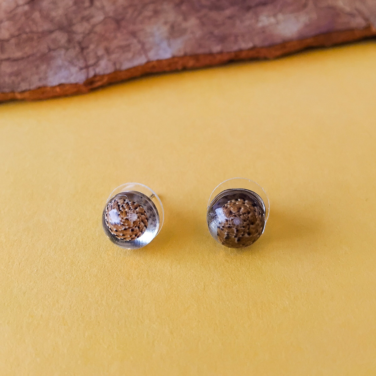 Shell studs 36 Shell studs - Hand-crafted Jewellery - Ashleigh Pugh