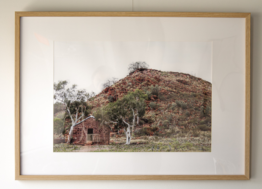 Two Trees 104 Two Trees - Photography & Prints - Ceberio Johnson