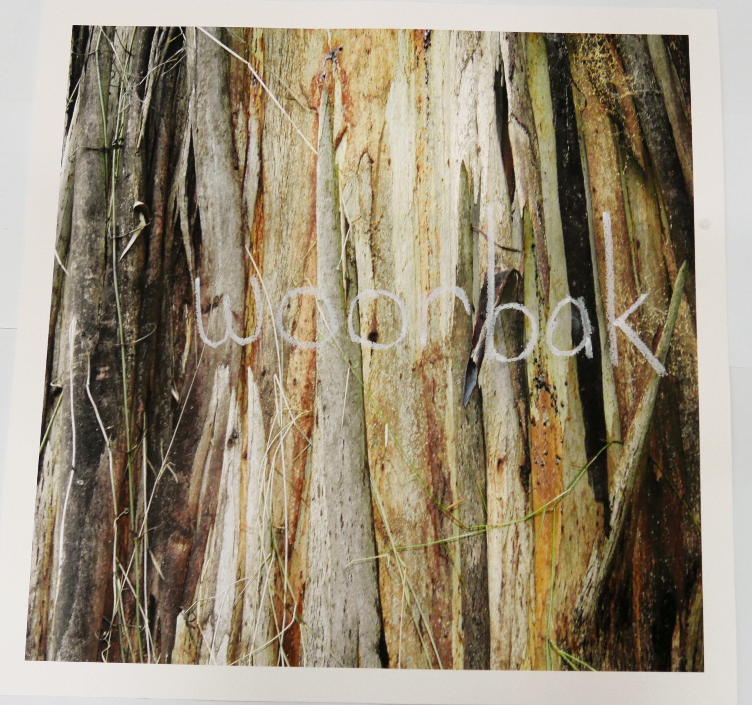 Woorbak (Gumbadik) - Works On Paper - Z - Daniel Kelly