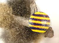 Bottle top brooch - Jewellery - Z - Lisa Waup