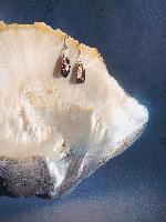 Rockpool Earrings - Jewellery - Ashleigh Pugh