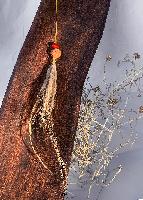 Quandong + Feather Necklace - Jewellery - Cassie Leatham