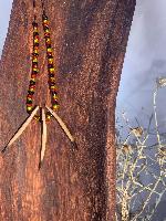 Echidna Quill w glass beads - Jewellery - Cassie Leatham