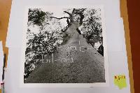 Weegabeel bilai (Gumbadik) - Works On Paper - Z - Daniel Kelly