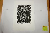 Ring Tailed Possum AP - Works On Paper - Z - Daniel Kelly